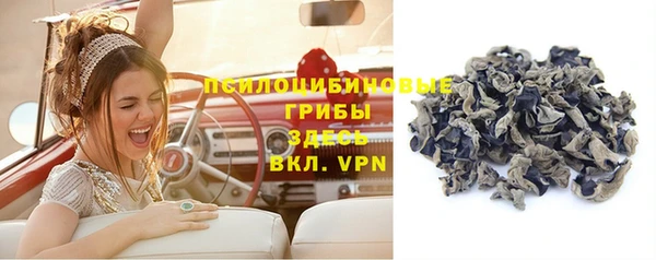 индика Бугульма