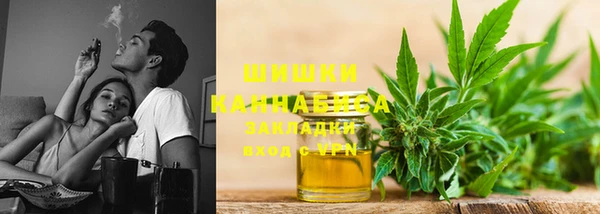 твердый Верхний Тагил