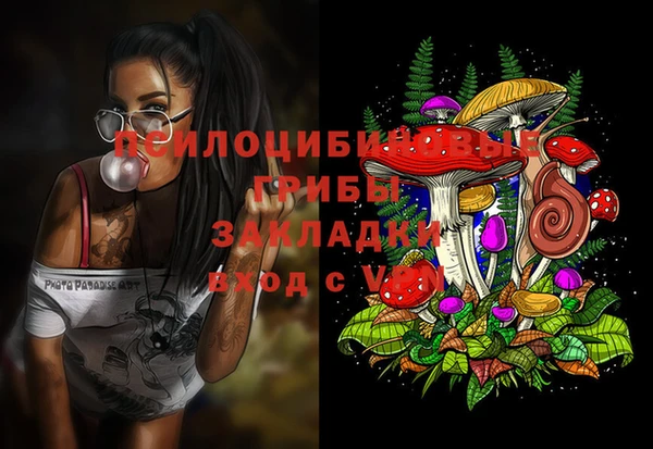 крисы Верхнеуральск