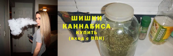 гидра Бородино