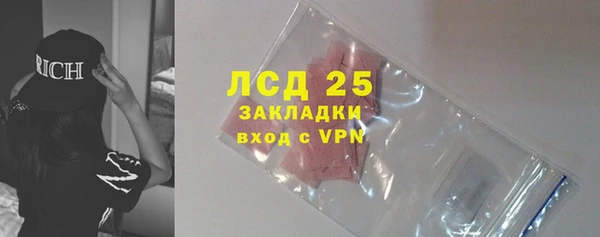 индика Бугульма