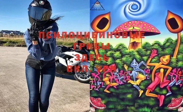 твердый Верхний Тагил