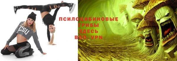 гидра Бородино