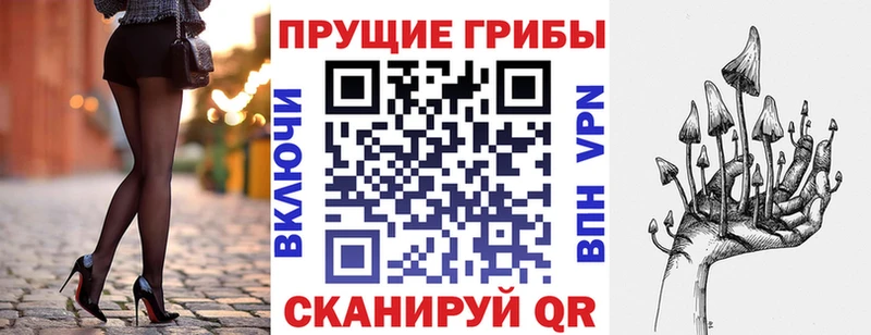 Купить закладки  Михайловск  Псилоцибиновые грибы Magic Shrooms 