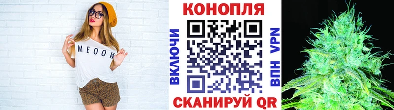 Бошки марихуана THC 21%  Купить закладки  Михайловск 